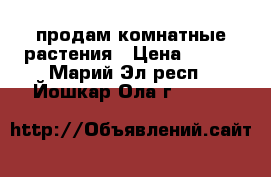 продам комнатные растения › Цена ­ 300 - Марий Эл респ., Йошкар-Ола г.  »    
